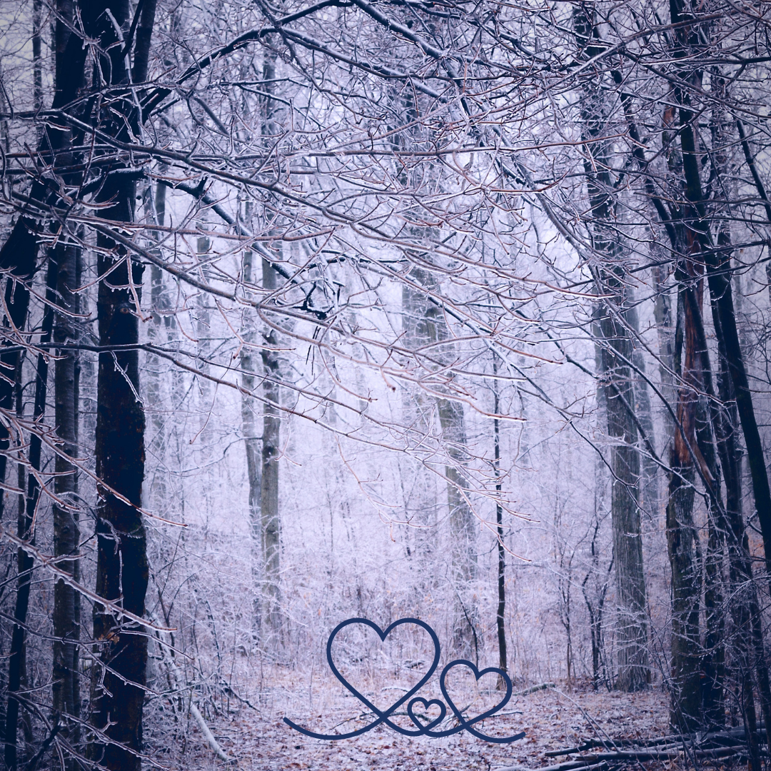 Untitleddesign_76_1080x.png?v=